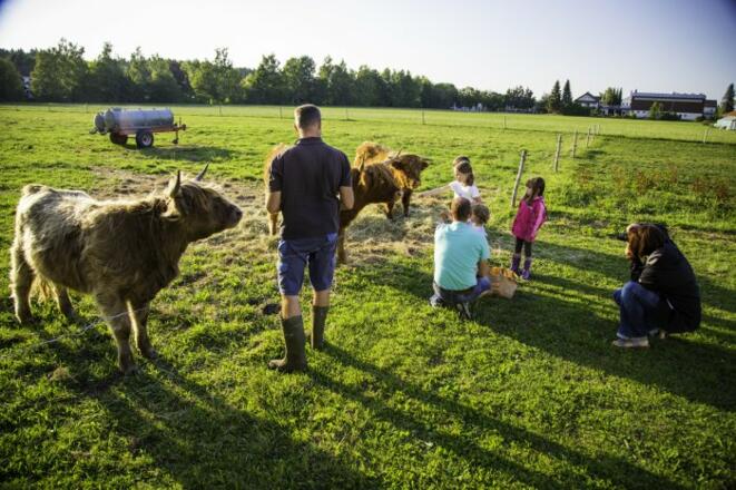 Bauer Lang mit seinen Hochlandrindern