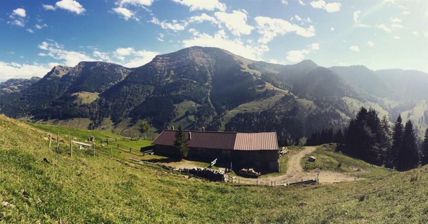 Blick auf den Hochgrat