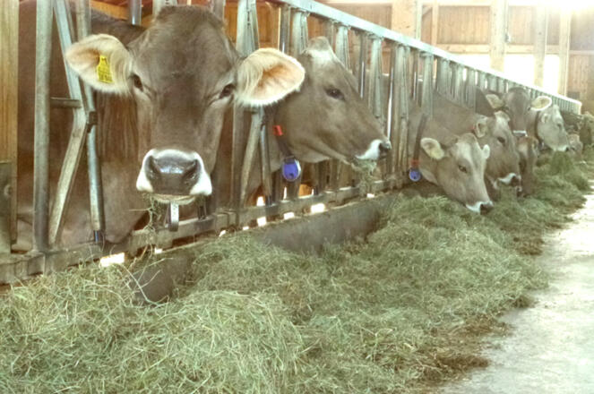 Unsere Mitarbeiterinnen