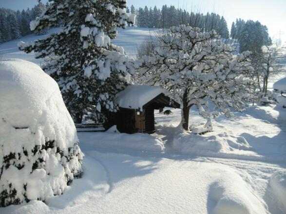 Winter - Blick aus dem Frühstücksraum