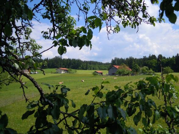 Der Bilgerhof - Mitten in der Natur