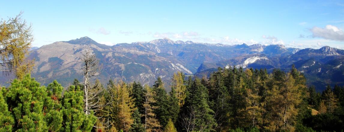 Das Tote Gebirge vom Rundweg aus gesehen.