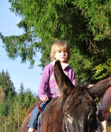Eselreiten für die Kleinsten