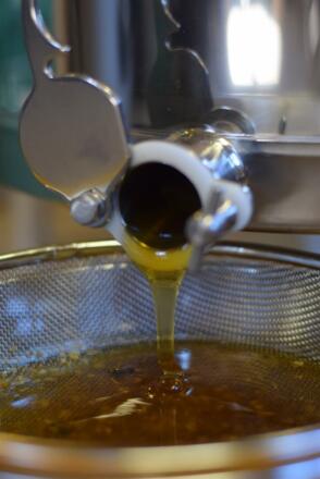 Bruno ist Imker! Honigverkauf ab Hof