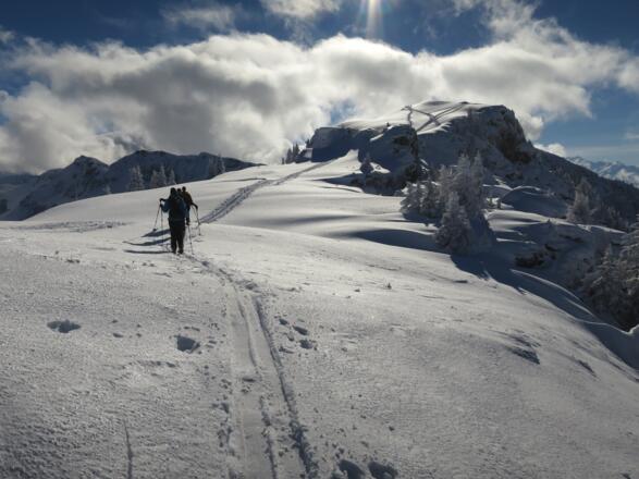 Der breite NO-Rücken führt zunächst auf einen Vorgipfel der Schwalbenwand.