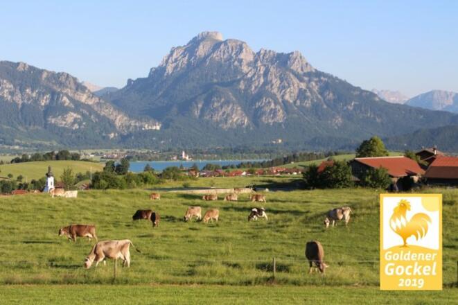 Stögerhof Goldener Gockel 2019