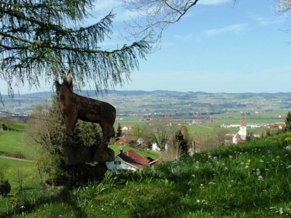 Blick auf Haldenwang
