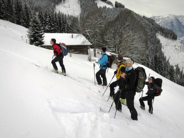 ... Dickalm führt und von dieser noch weiter nach oben ...