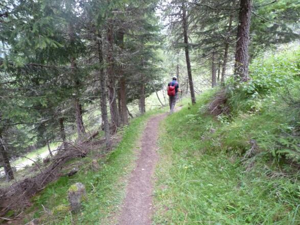 Nach der Ludwigsburger Hütte, folgen wir dem nördlichen Steig, der im unteren Abschnitt wieder in den Aufstiegsweg einmündet.