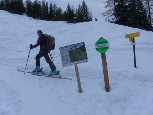 Umgehung der Wildfütterung