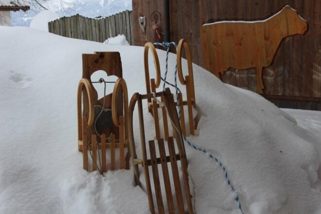 Winterurlaub Stögerhof - Schlittenfahrt