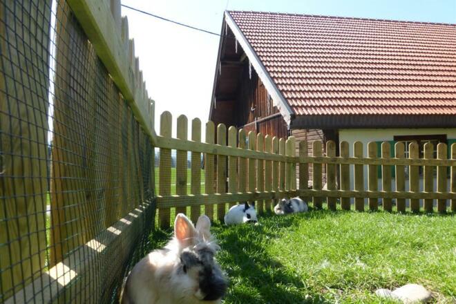 Hier gefällt es uns