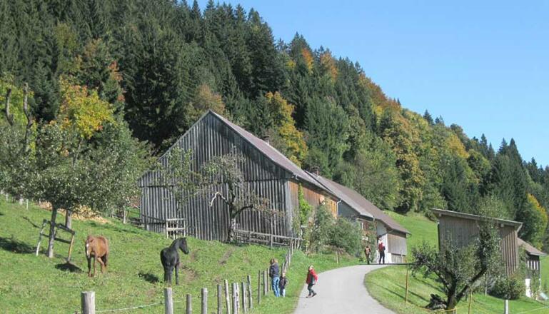 Anfängliche Pflasterstraße
