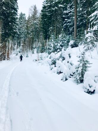 Skitour in Ruhe und von der Haustüre weg (bei geeigneter Schneelage)