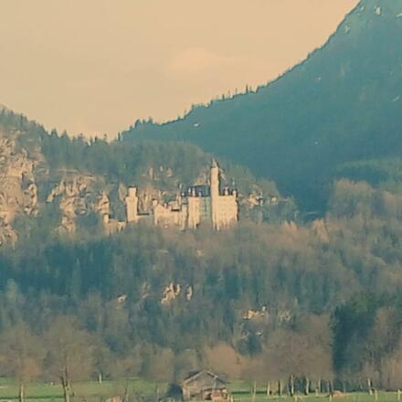 b7e373e24c97d6b587bee1fddef768e3