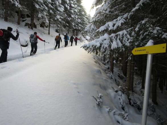 ... in Richtung Gerlinger Alm führt.