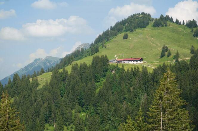 Blick vom Windbuckel zum Falken