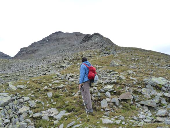 Über Schutt und hochalpine Rasen folgen wir dem Steiglein direkt zum Gipfel.