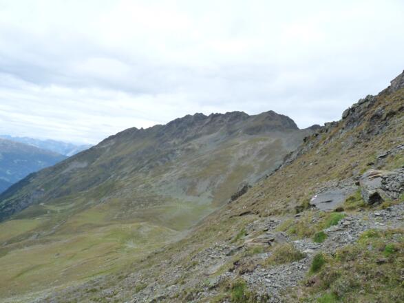 Steil führt der Steig vom Lehnerjoch nun Richtung Gipfel. Blick zurück zum Schafhimmel.