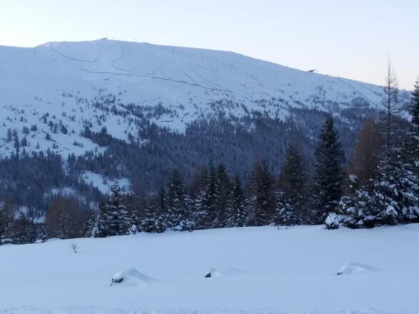 Blick im Aufstieg auf die Schöngelitze zum Aineck.