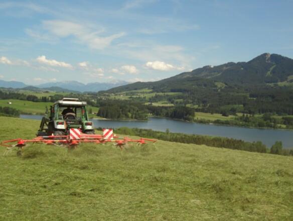 Urlaub auf dem Bauernhof