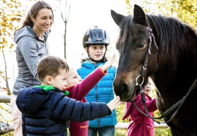Reiten und Ponys streicheln