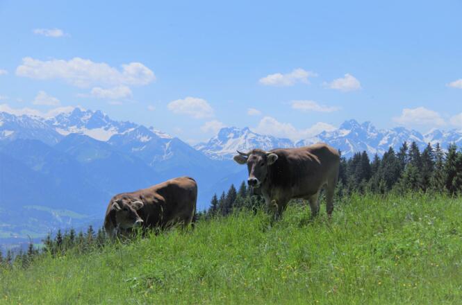 In den Bergen von Oberstaufen