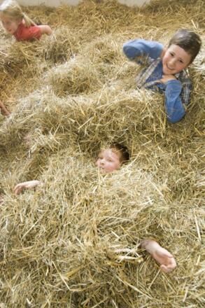 Toben im Heu