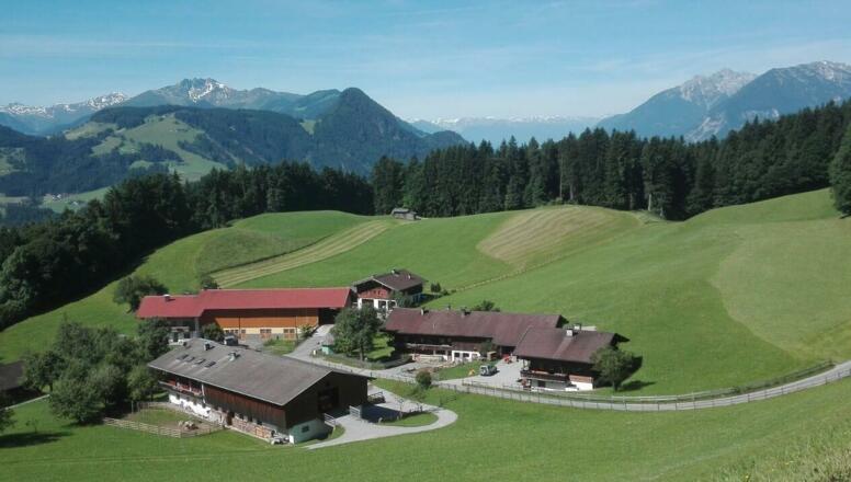 Brandenbergerhof in Zimmermoos Brixlegg