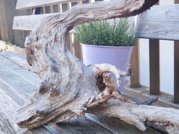 Allgäuer Wurzelwerk