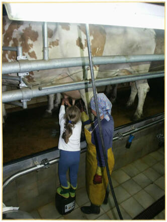 Bei uns können Kinder ganz nah ran...