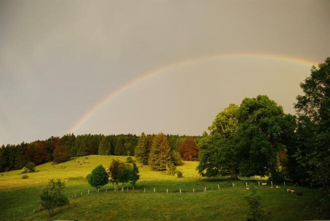 Blick auf den Staufen mit Regenbogen