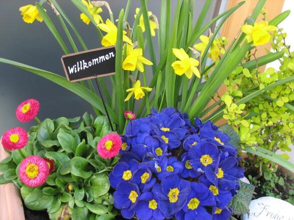 Willkommen im Frühling