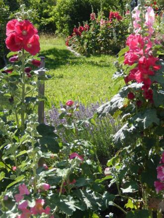 im Garten, Haus Anton Obermaiselstein