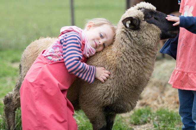 Kuscheln mit Schaf &quot;Max&quot;