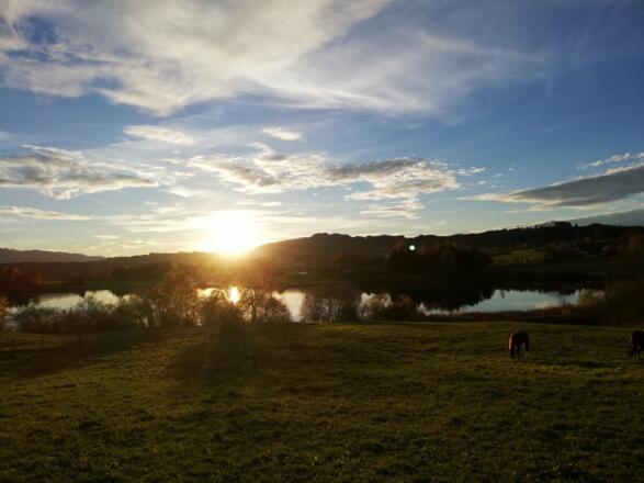 img_20201102_162621-kopie