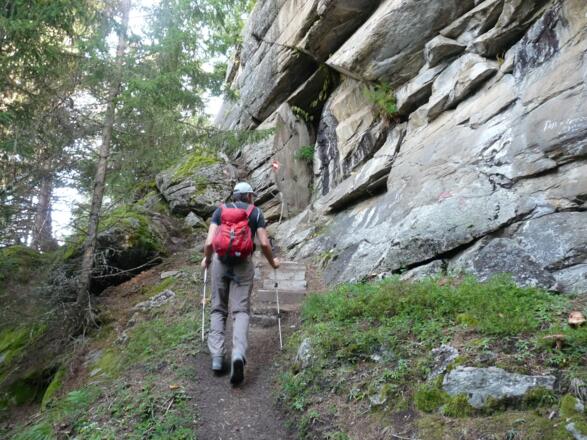 Der Anstieg führt durch einen durchwegs steilen Bergwald. Bei diesem Felsen ist auch eine kleine Leiter zu überwinden.