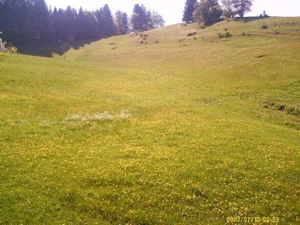 Blick in die Landschaft von Zimmer 2