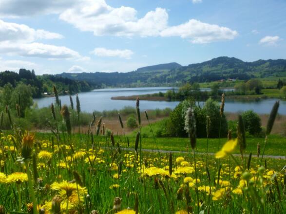 Niedersonthofener See