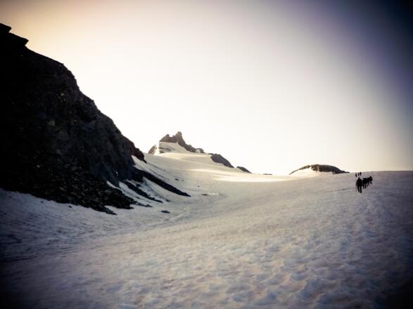 Gurgler Ferner und Hoch Wilde