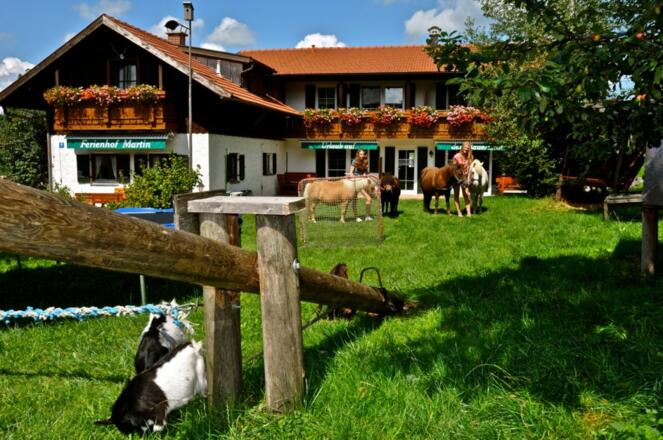Ferienhof Martin Ihr Urlaubsparadies