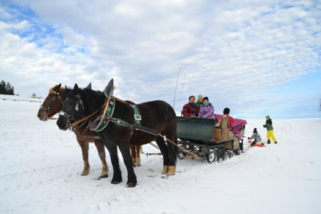 Romantische Schlittenfahrt