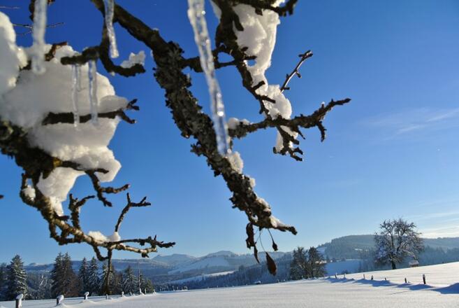 Winterlandschaft