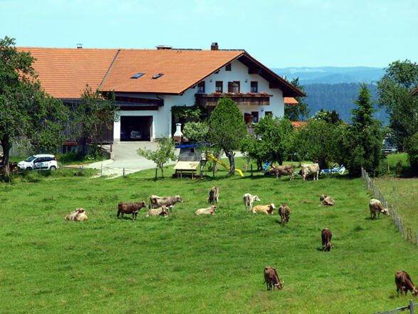 Ferienhof Fehr Stiefenhofen