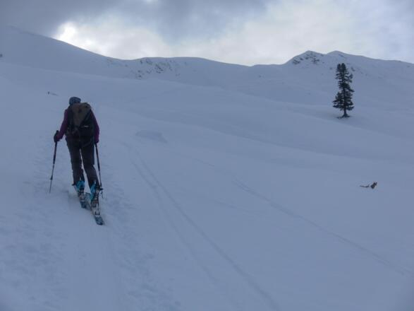 Reitalmkar und Schönweidkogel