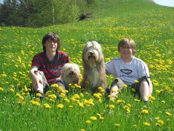 Familienurlaub mit Hund