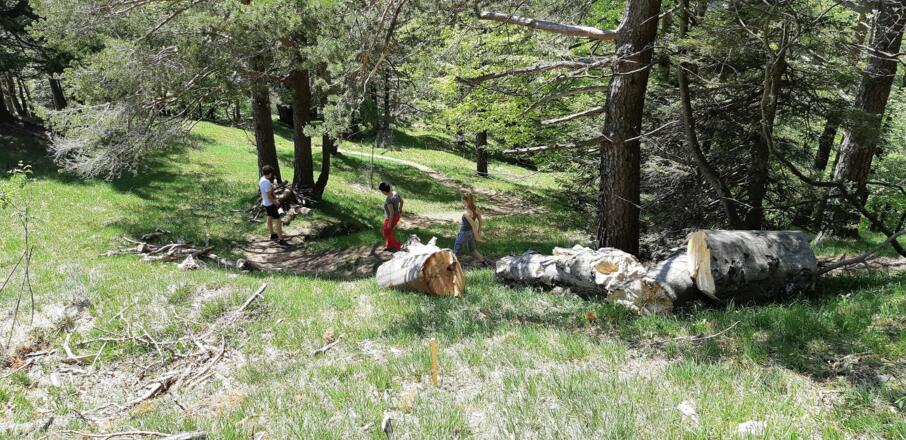 Beim Abstieg ins Halltal.