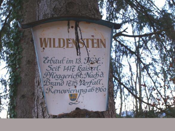 Ruine Wildenstein 597m