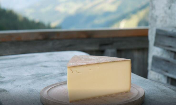 Käse aus der Almkäserei Steinbergalm