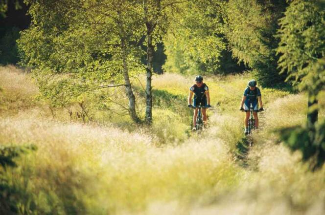 Radfahrer im Frankenwald